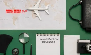 Travel Medical Insurance 